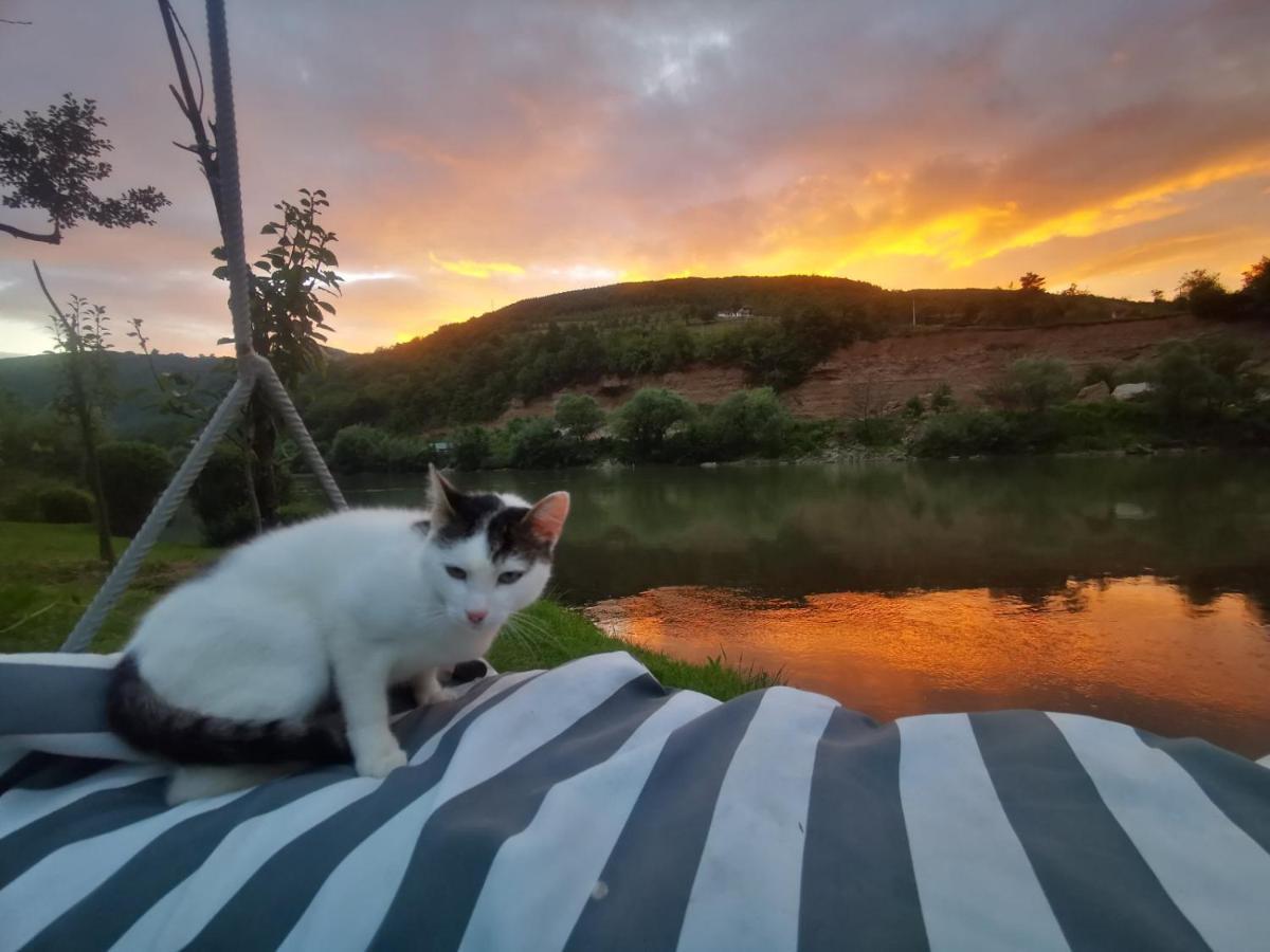 Prenociste Na Drini Foca Bed & Breakfast Eksteriør bilde