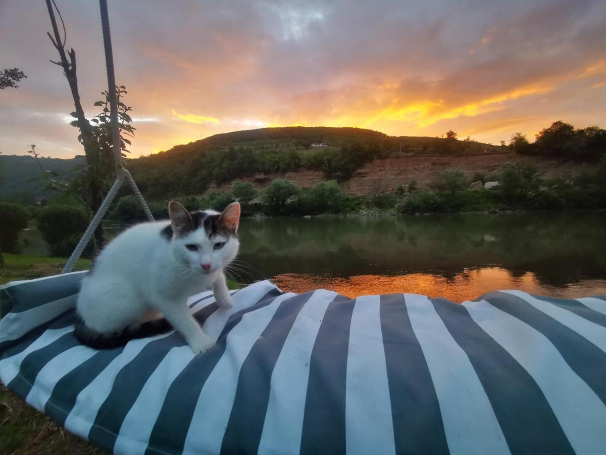 Prenociste Na Drini Foca Bed & Breakfast Eksteriør bilde